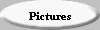 My Pictures